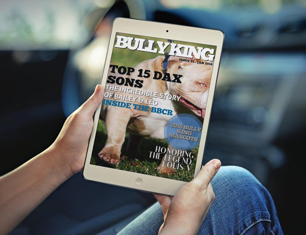 ADVERTISING | GET FEATURED IN THE NEXT ISSUE-BULLY KING Magazine